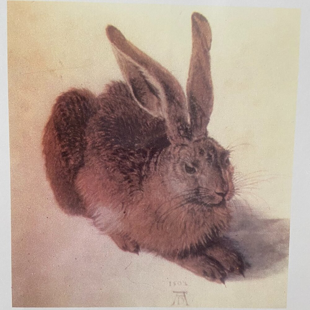 Albrecht Durer, Rabbit Art, Rabbit Print - Picture 4 of 6